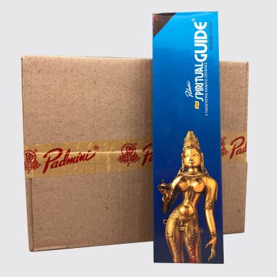 Padmini Spiritual Guide Incense Sticks – 50 Sticks Pack