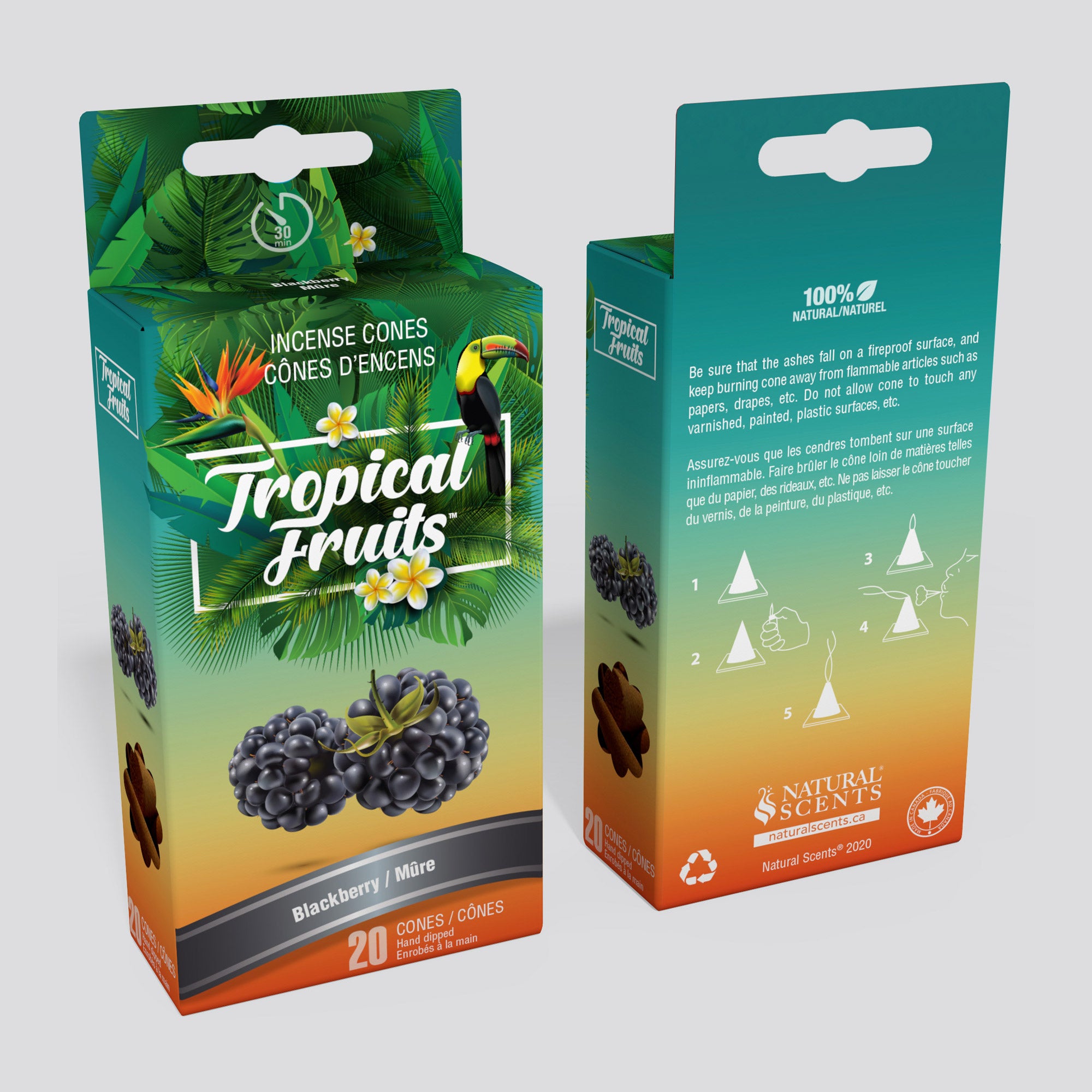 Tropical Fruits #01 Blackberry Cones