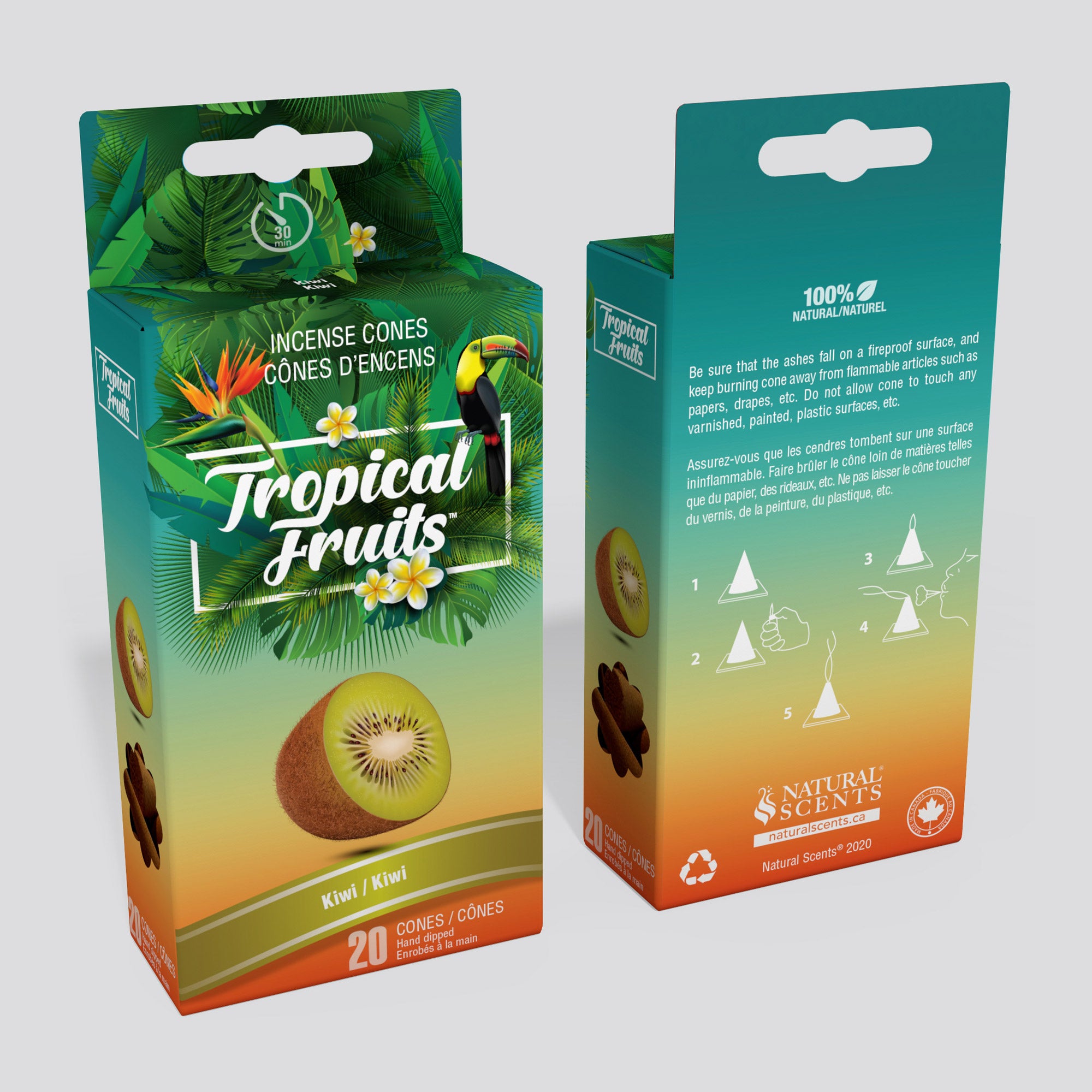 Tropical Fruits #04 Kiwi Cones