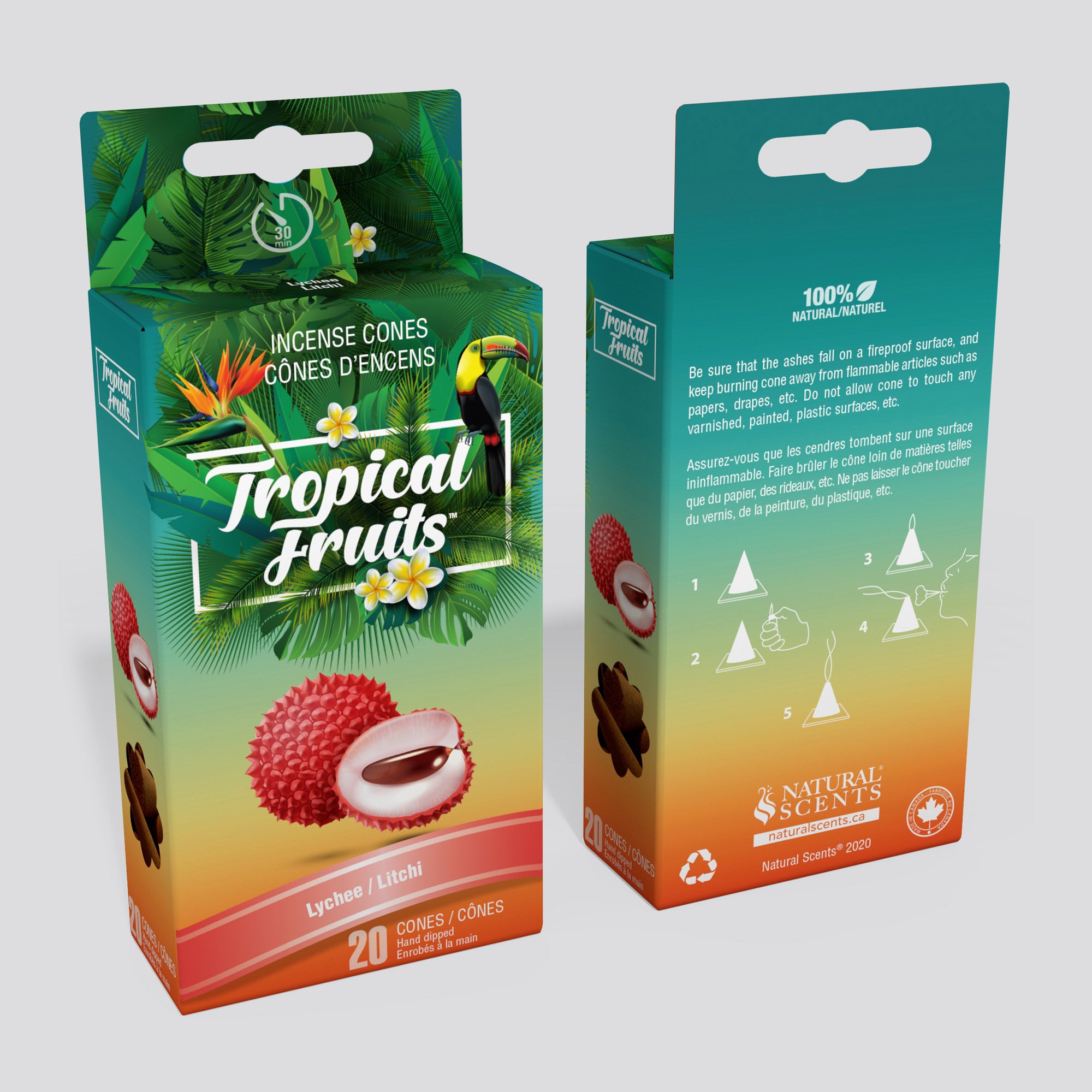 Tropical Fruits #05 Lychee Cones