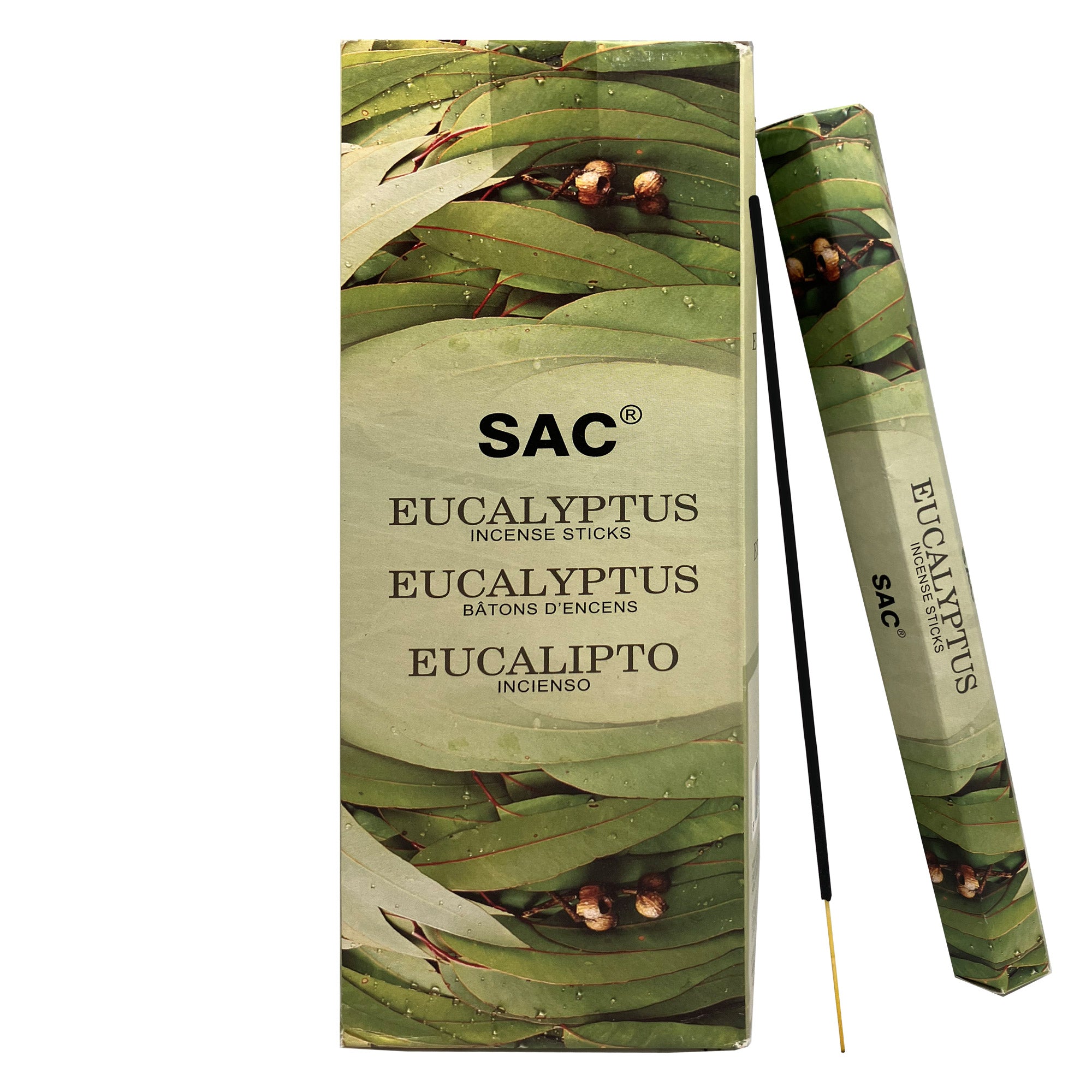 SAC Eucalyptus Incense Sticks – Fresh Herbal Aroma | 6 Packs x 20 Sticks