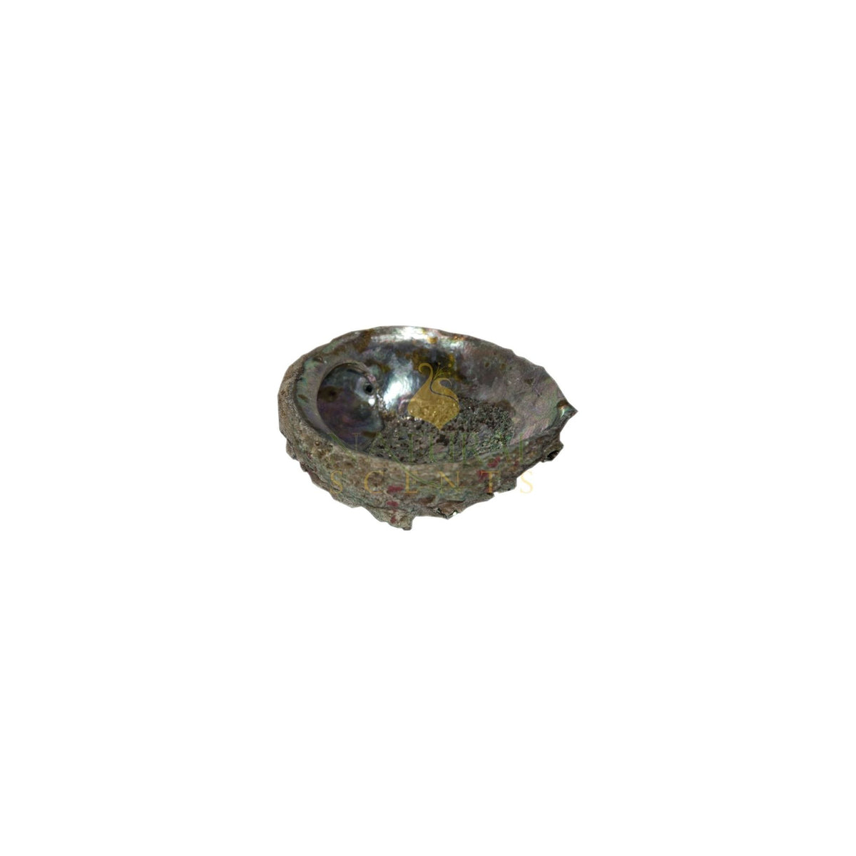 Smuge Shell Smudging Bowl 3