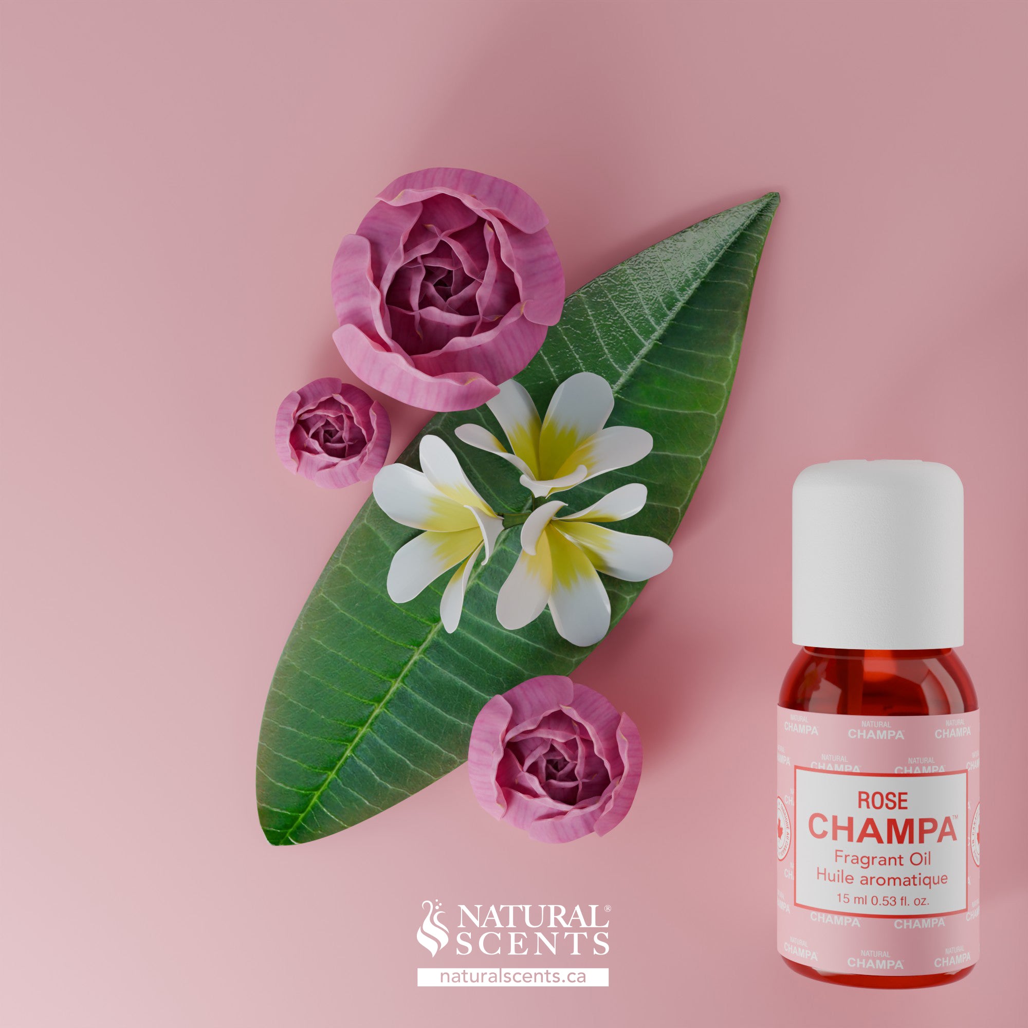 Rose Champa Fragrant Oil
