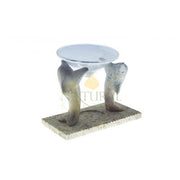 Dolphin Stone Oil Burner with Glass Dish – Handcrafted Essential Oil & Wax Melt Aromatherapy Diffuser
