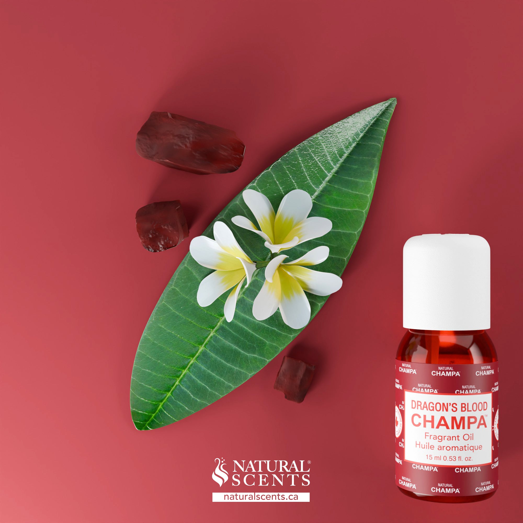 Dragon's Blood Champa Fragrant Oil