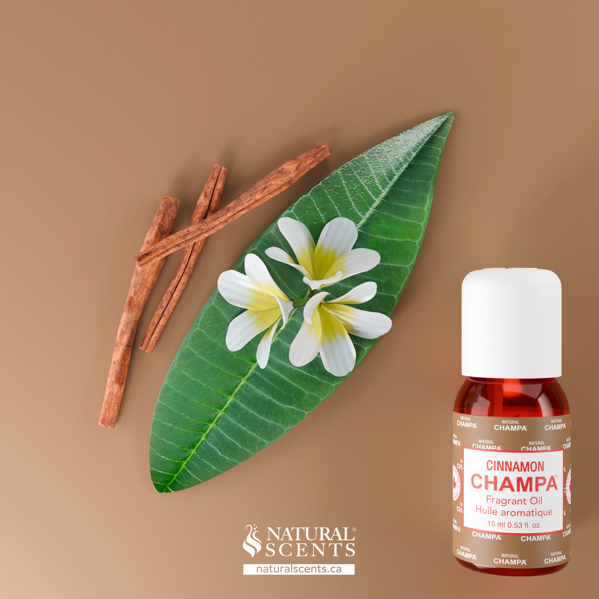 Cinnamon Champa Fragrant Oil