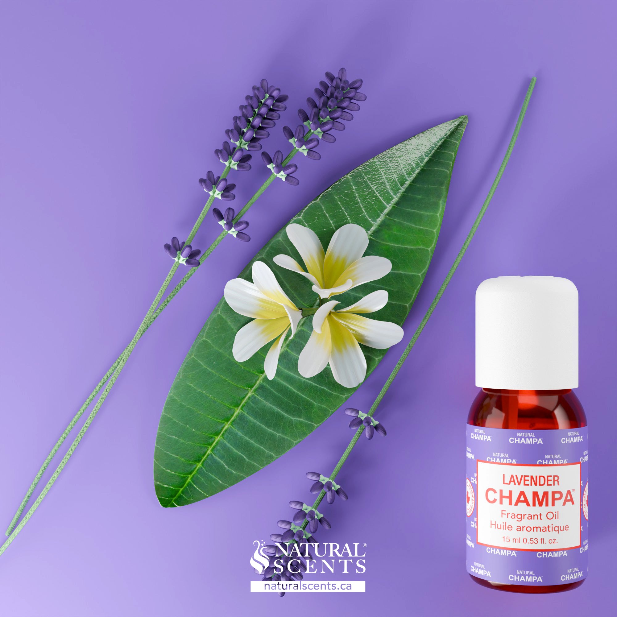 Lavender Champa Fragrant Oil
