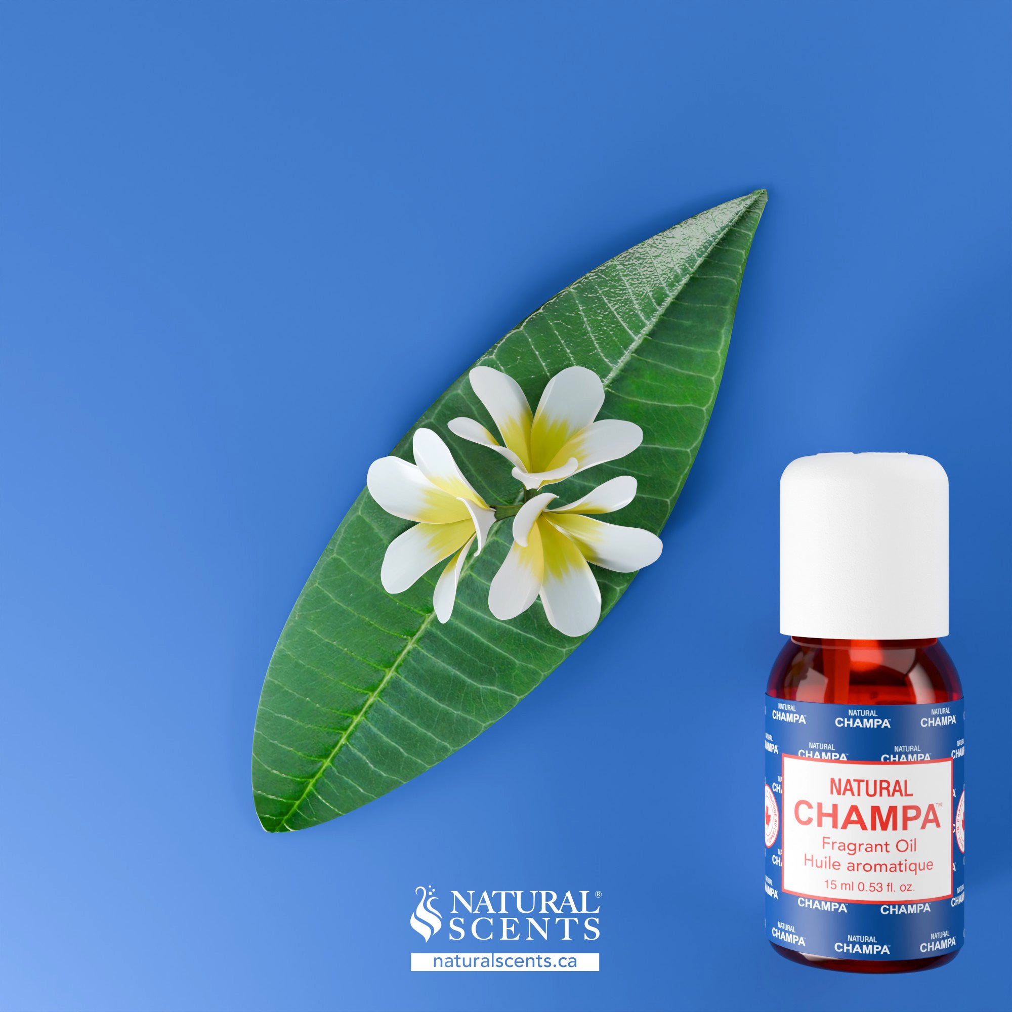 Natural Champa Blue Fragrant Oil