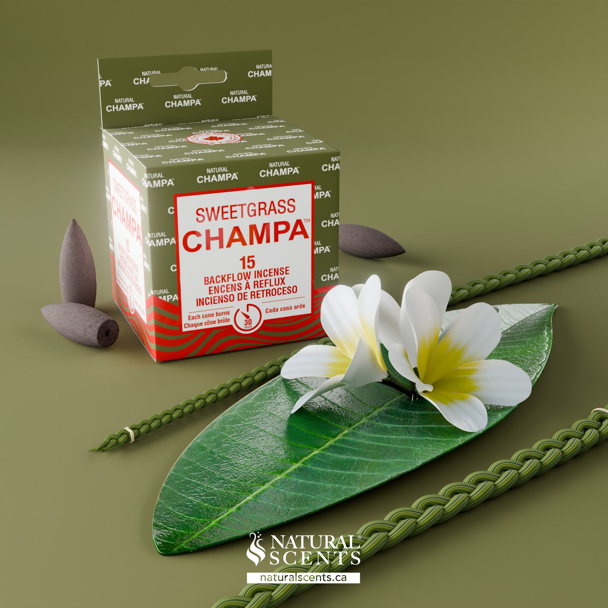 Sweetgrass Champa Backflow Incense Cones