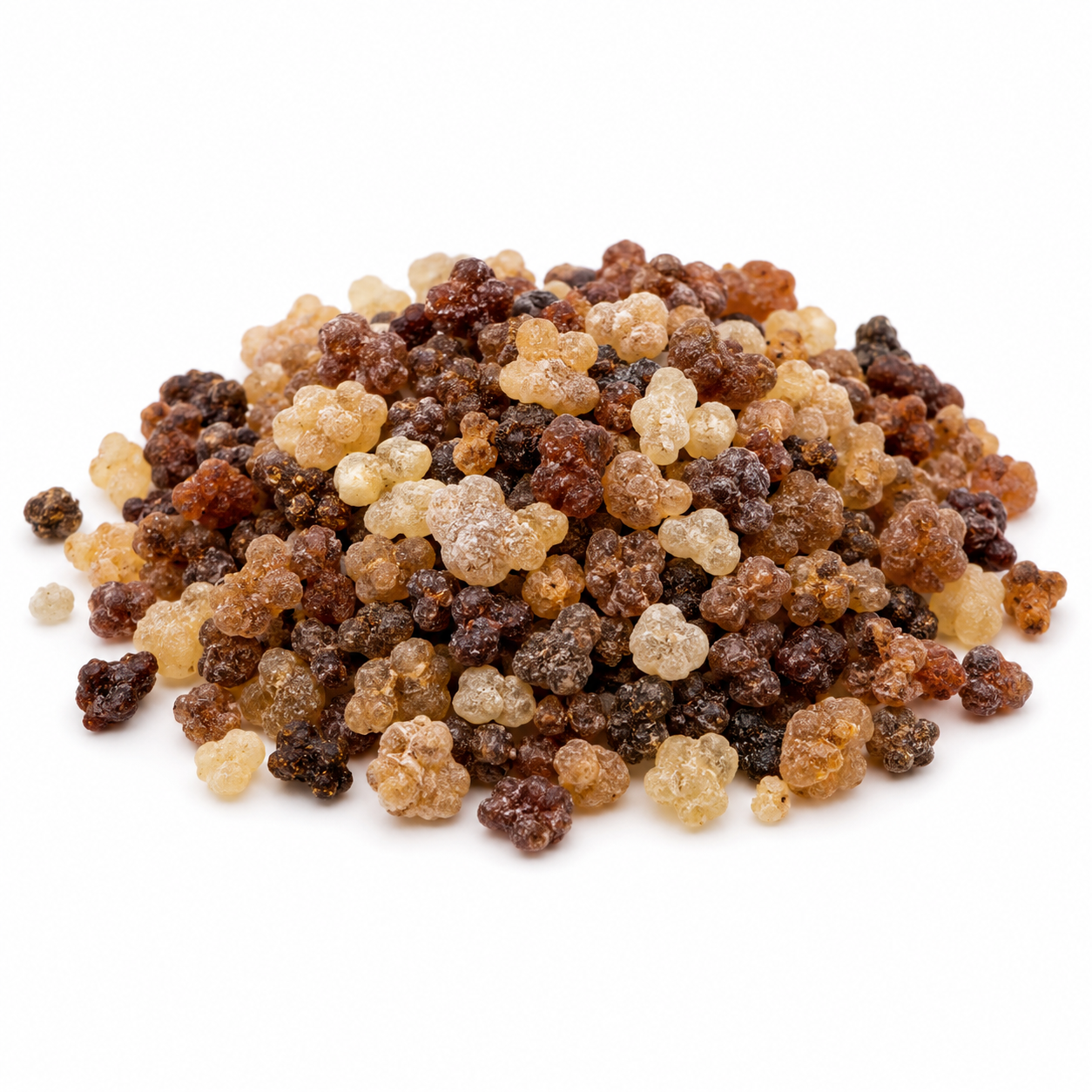 Tradition Incense Gloria