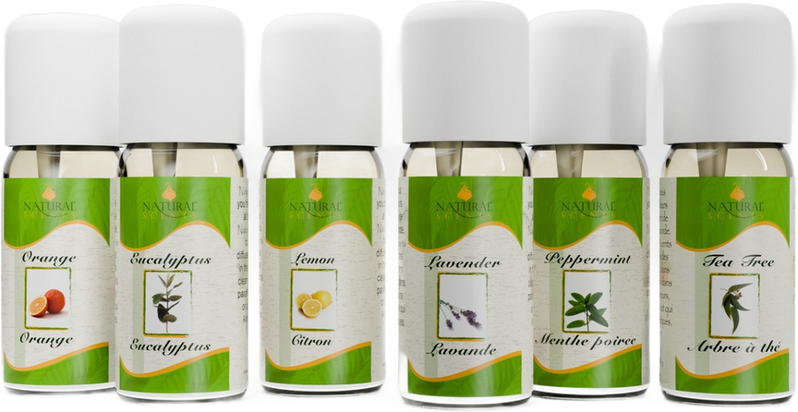 The Essentials Six - 6 Natural Essential Oils for Everyday Rituals