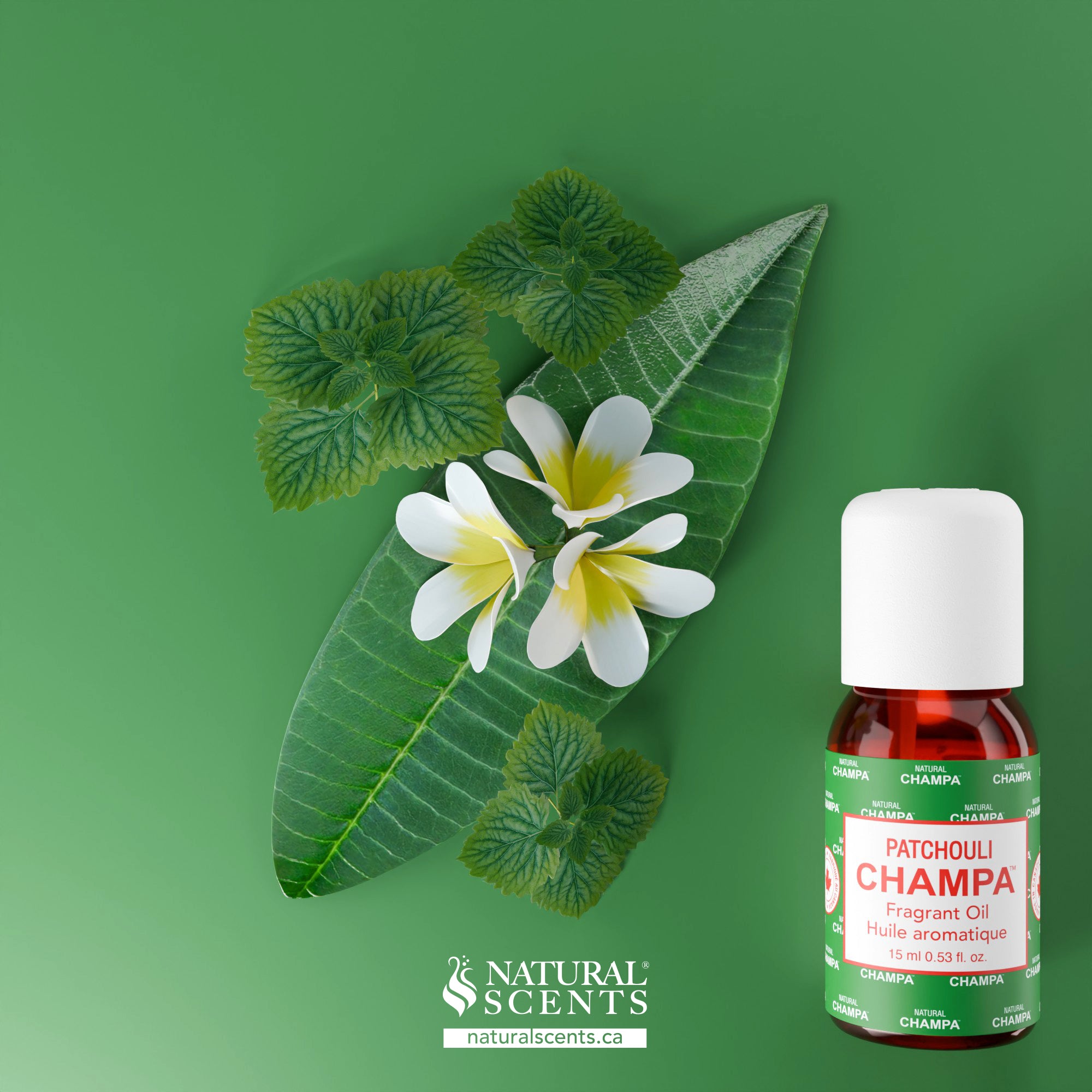 Patchouli Champa Fragrant Oil