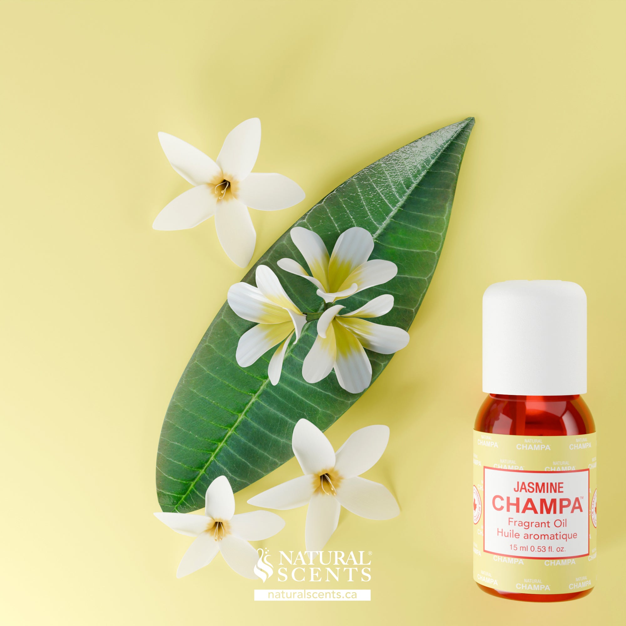 Jasmine Champa Fragrant Oil