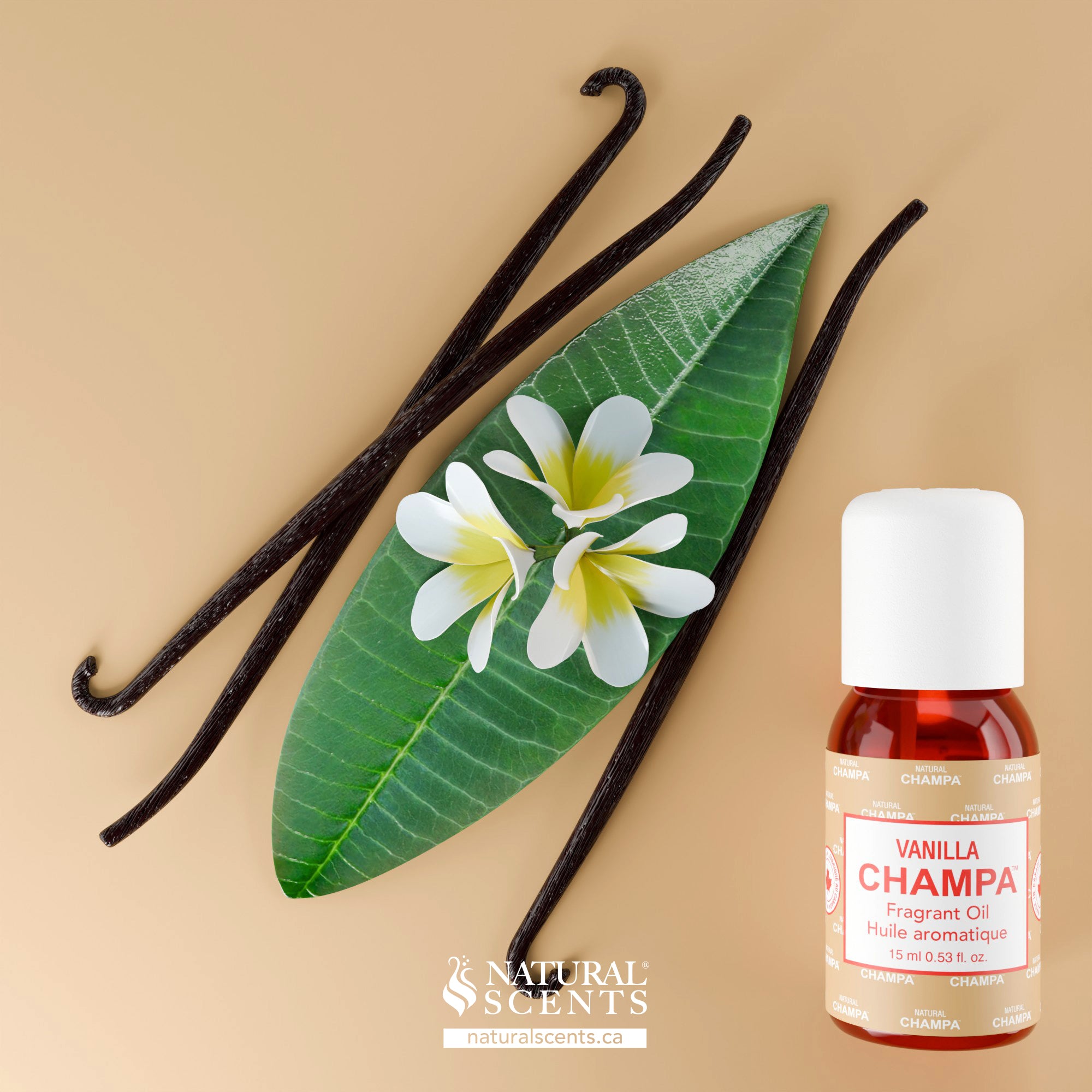 Vanilla Champa Fragrant Oil