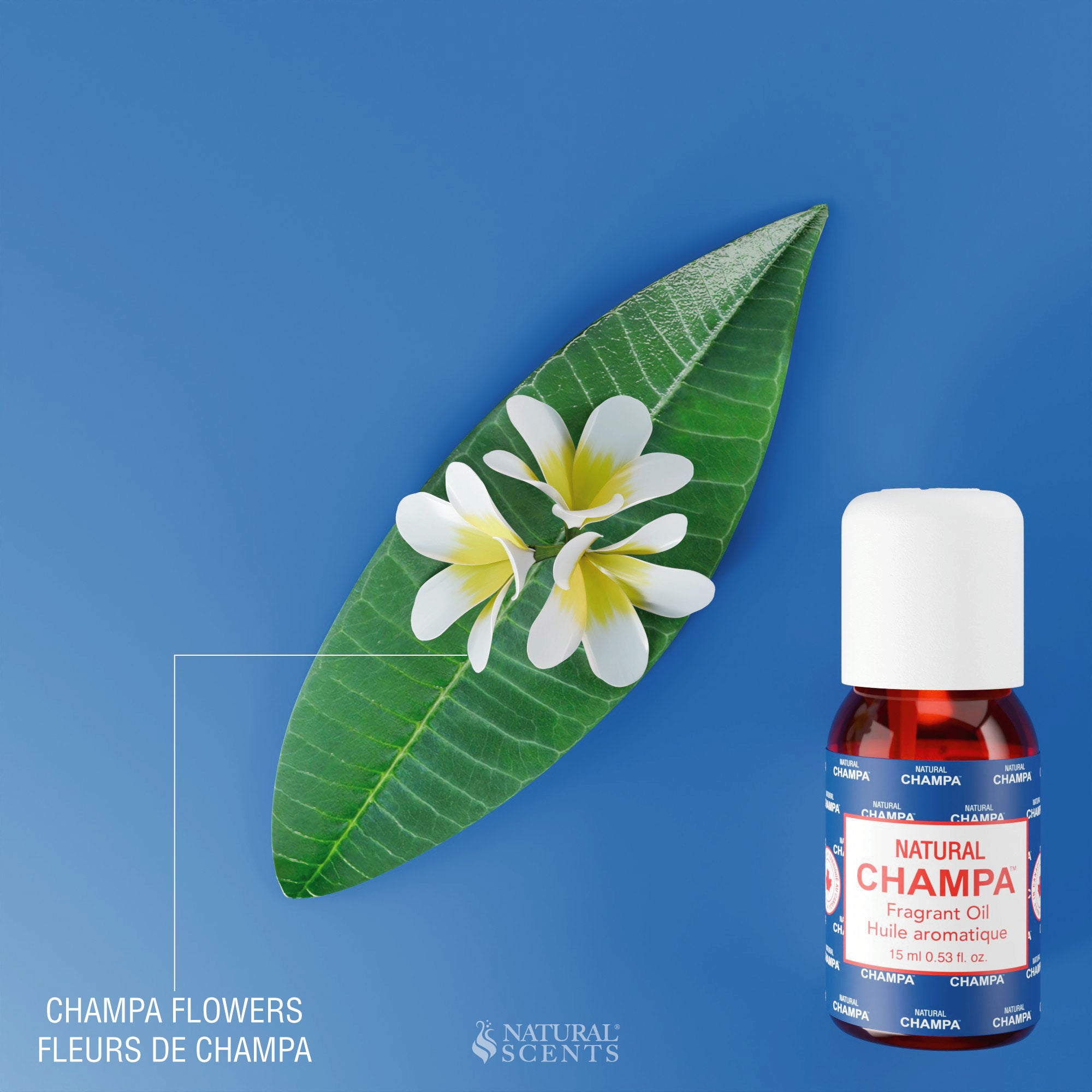 Natural Champa Blue Fragrant Oil