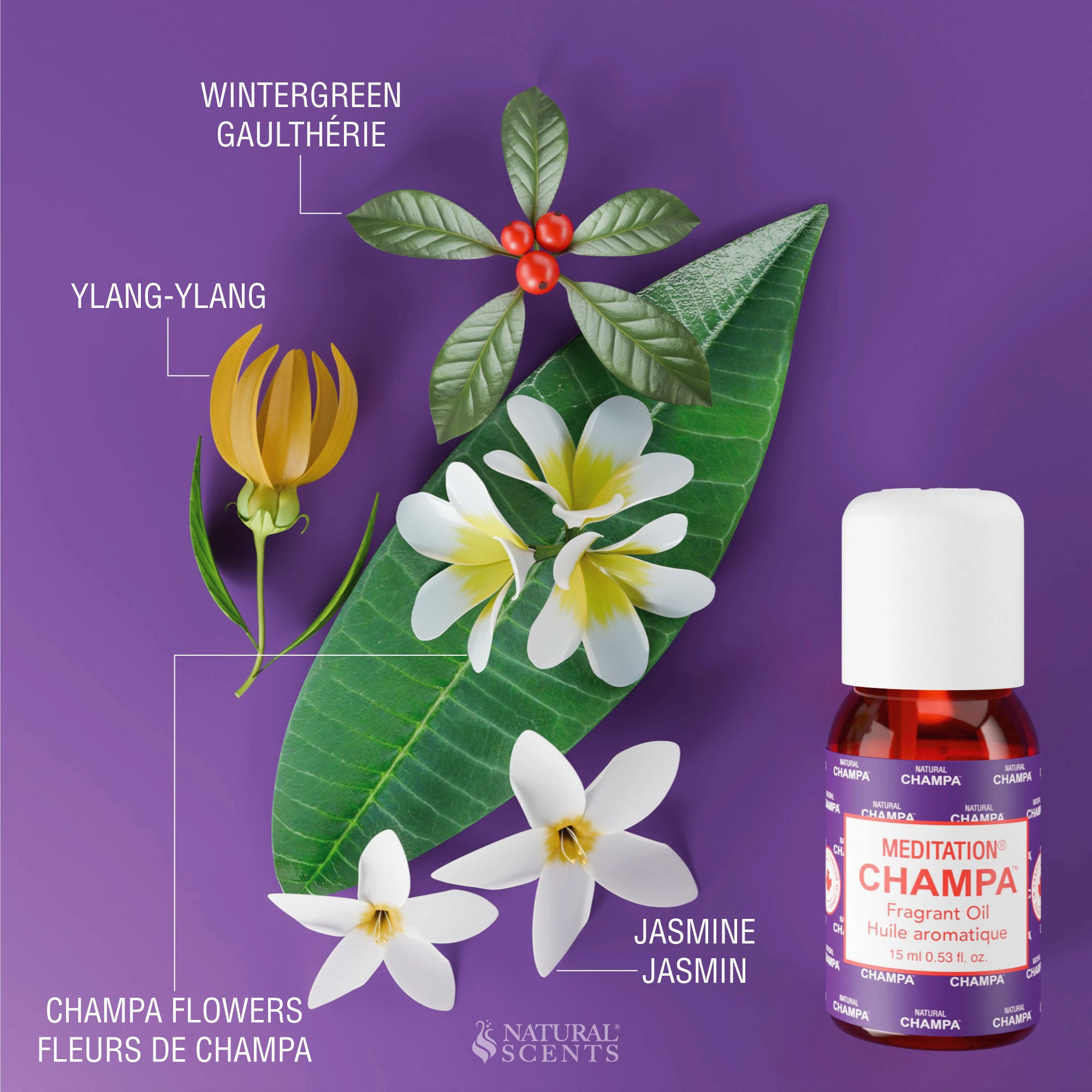 Meditation Champa Essential Oil