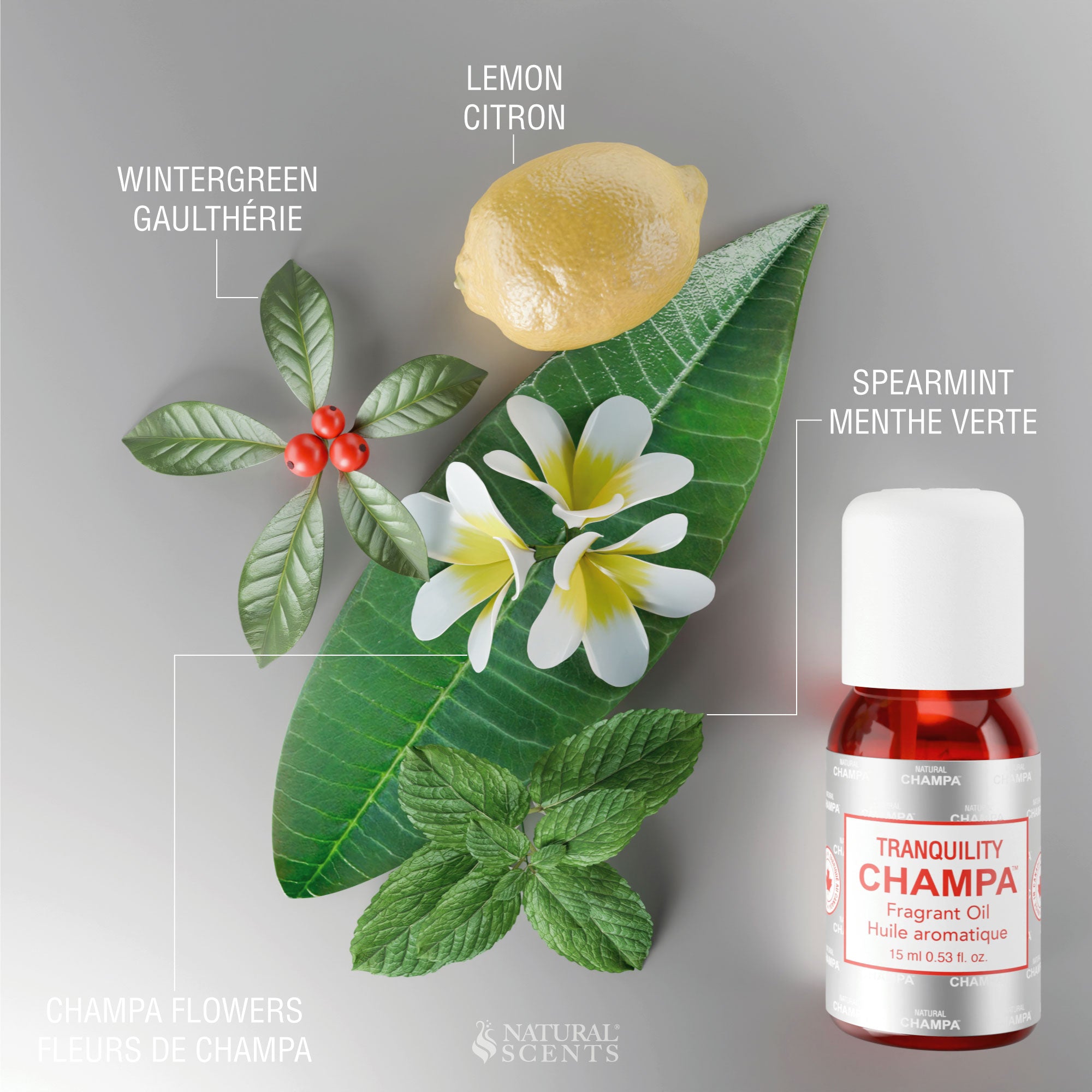 Tranquility Champa Fragrant Oil