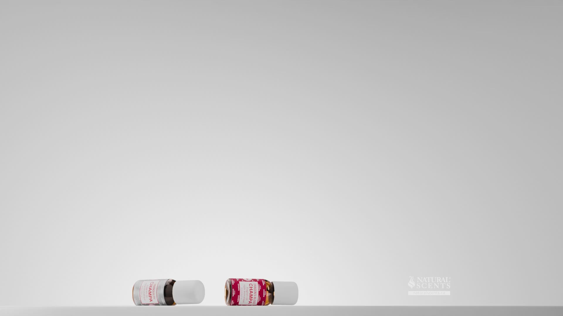 Charger la vidéo : 