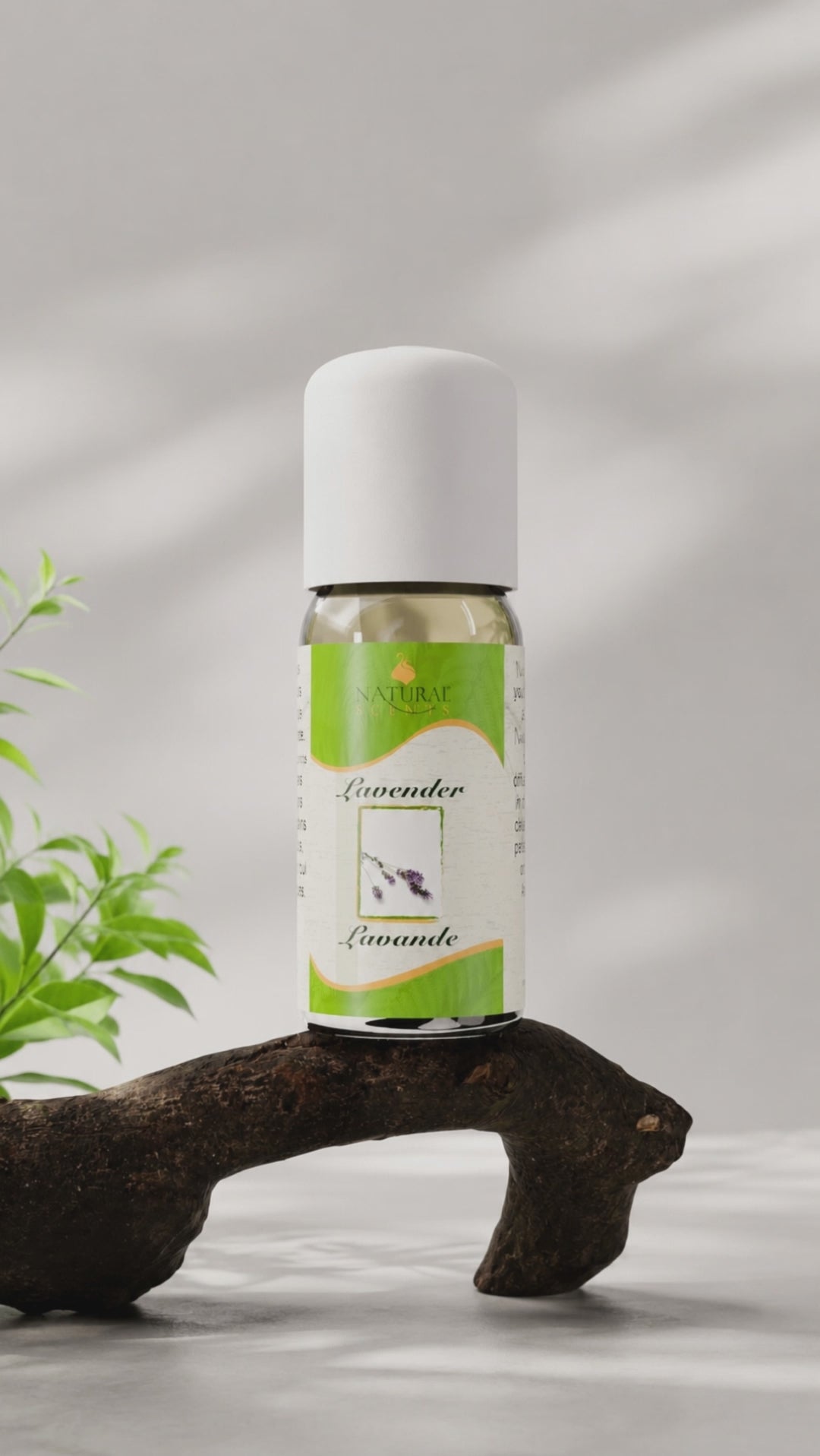 Charger la vidéo : Huile essentielle Natural Scents Lavande