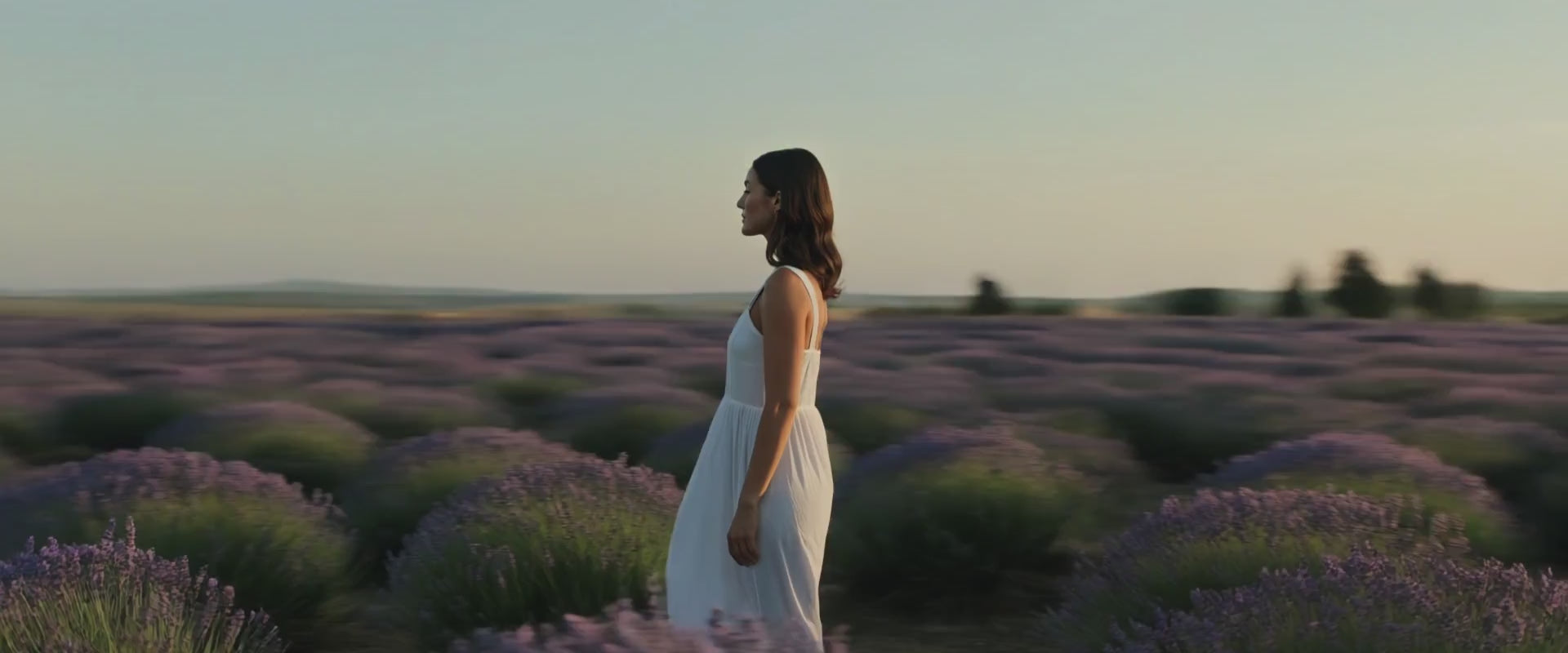 Charger la vidéo : 