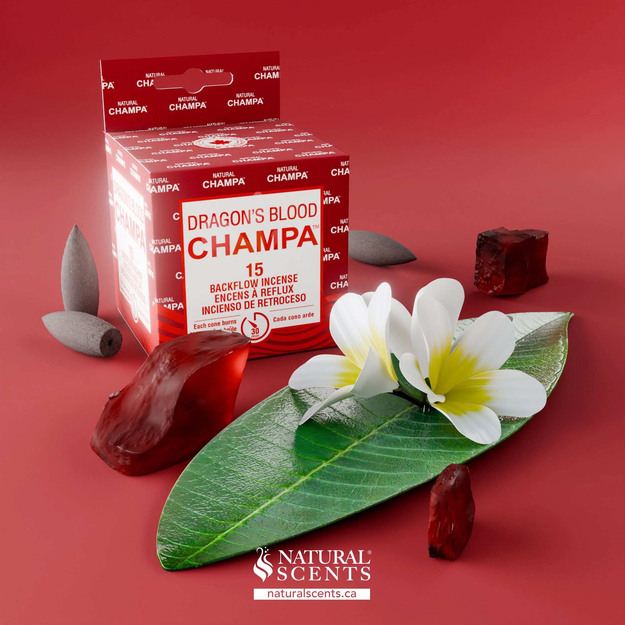 Dragon's Blood Champa Backflow Incense Cones