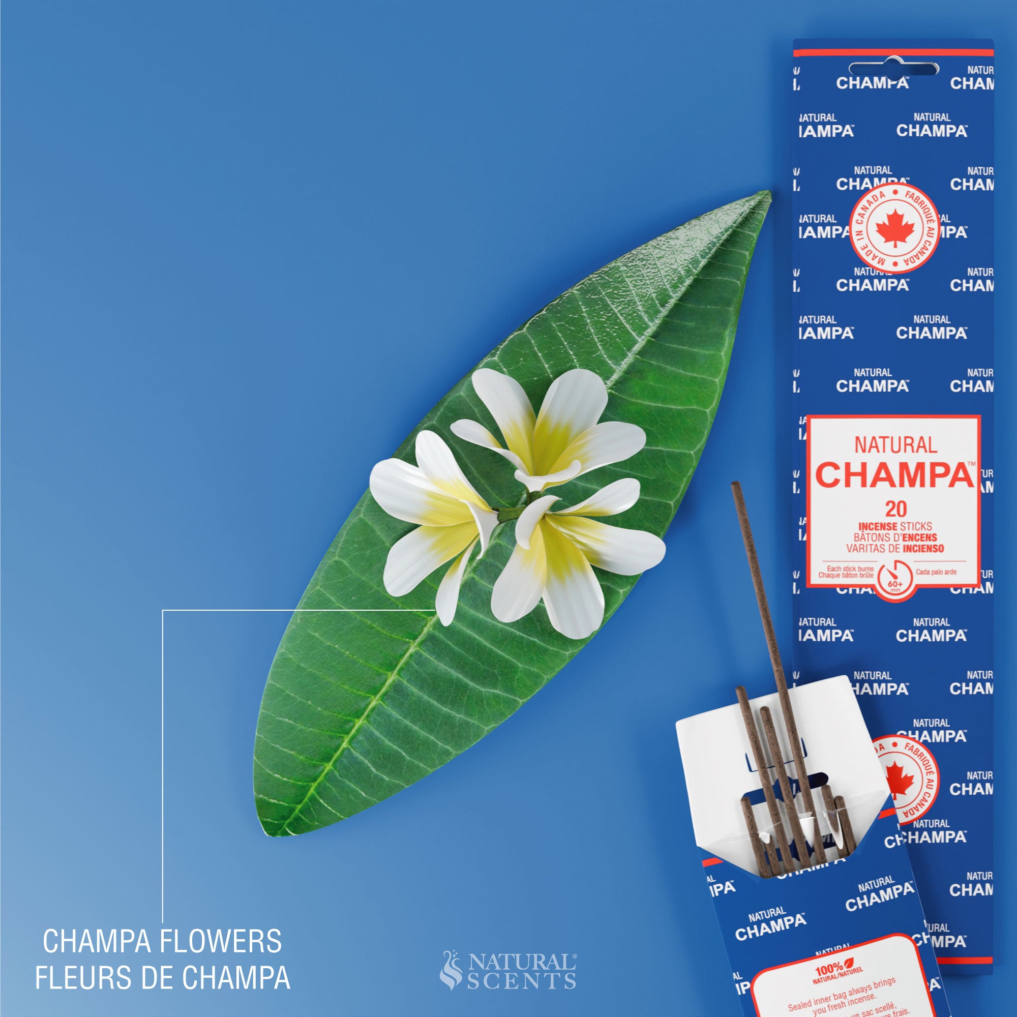 Bâtons d'encens Bleu Naturel Champa 