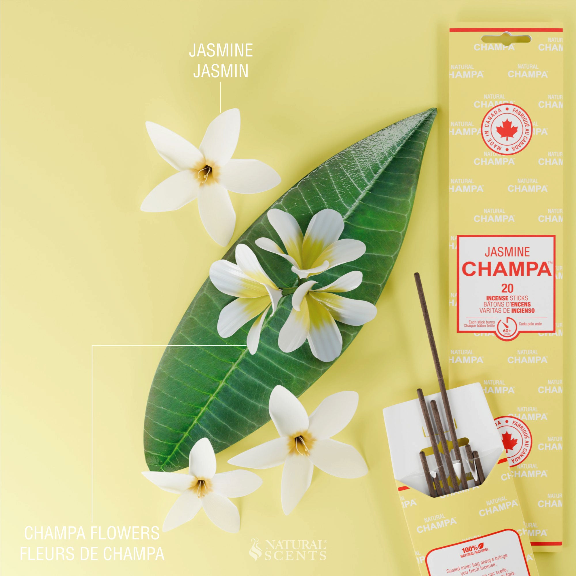 Jasmine Champa Incense Sticks