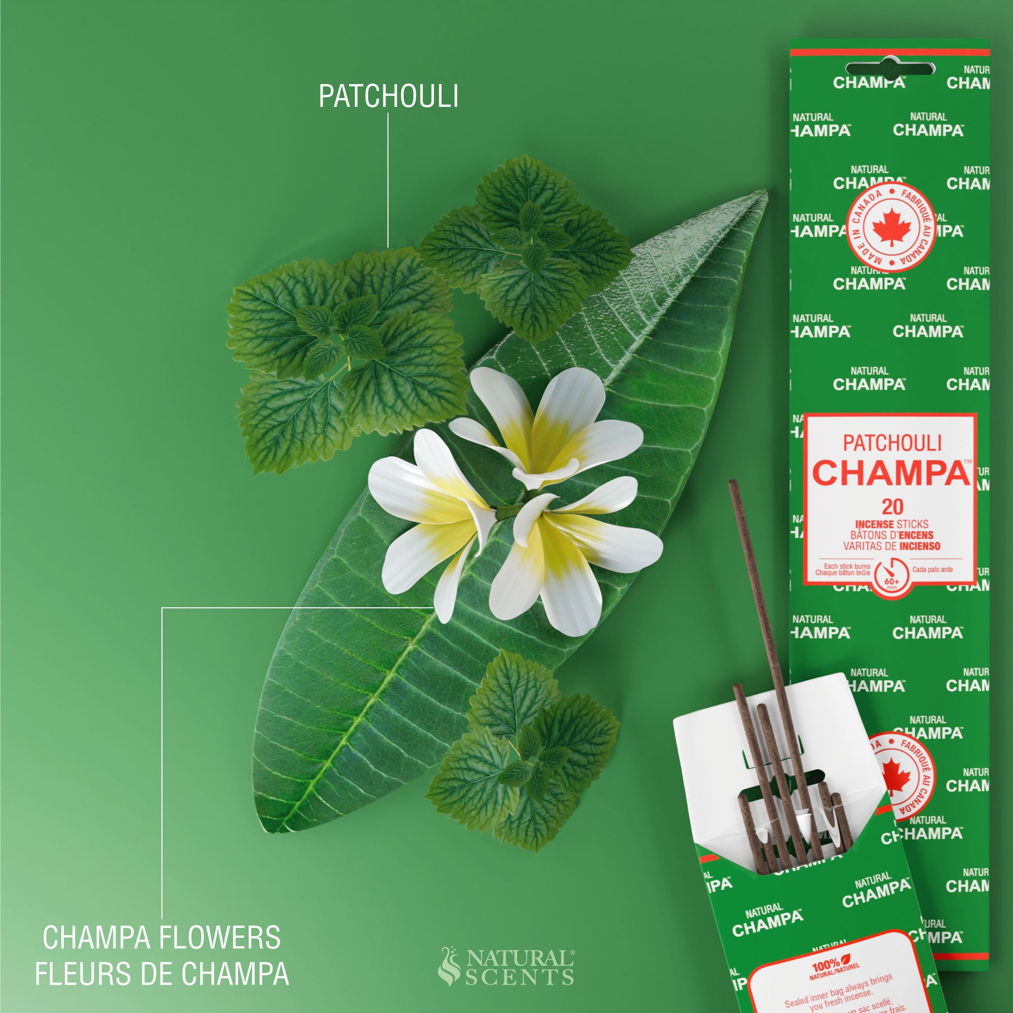 Bâtons d'encens Patchouli Champa